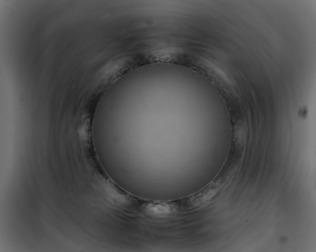 X0000100480181200806201638