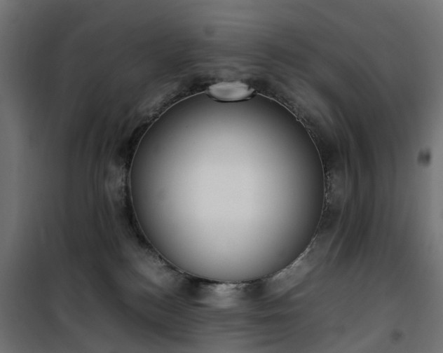 X0000100480184200806201638