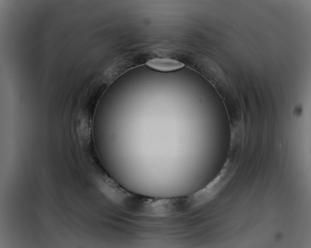 X0000100480186200806201638