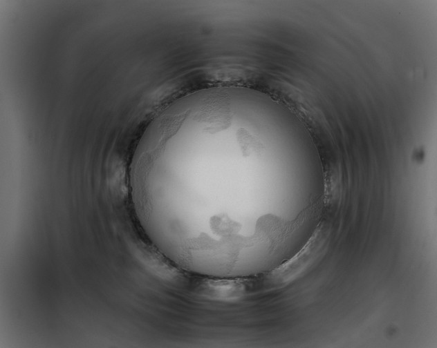 X0000100480187200806201638