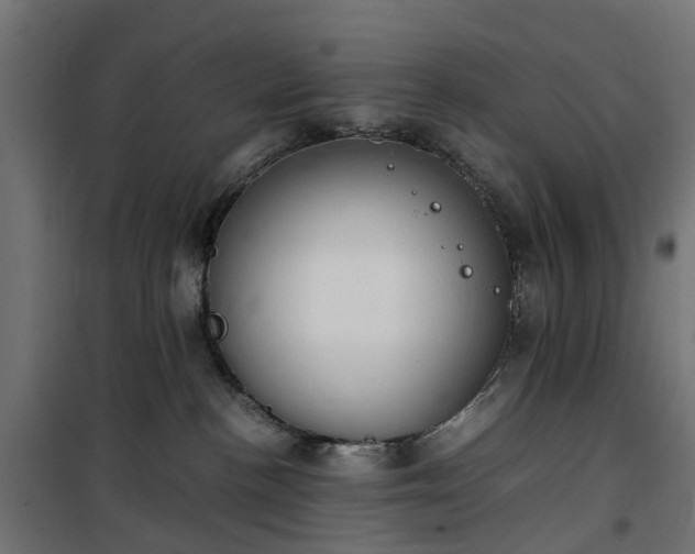 X0000100480188200806201638