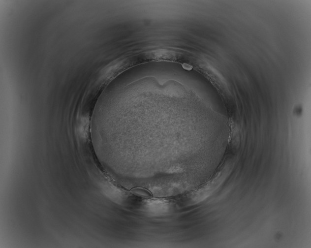 X0000100480189200806201638