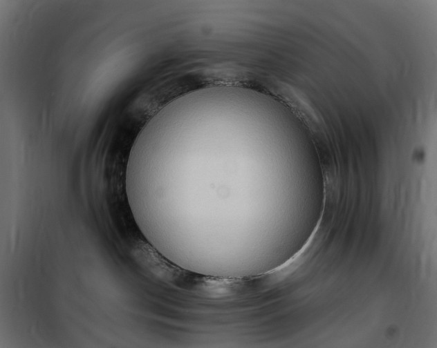 X0000100480190200806201638