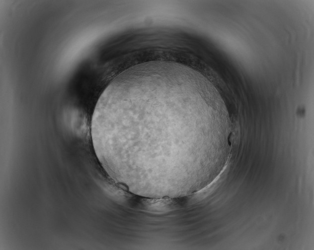 X0000100480191200806201638