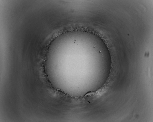 X0000100480192200806201638