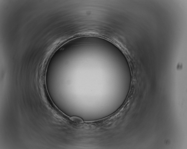 X0000100480193200806201638