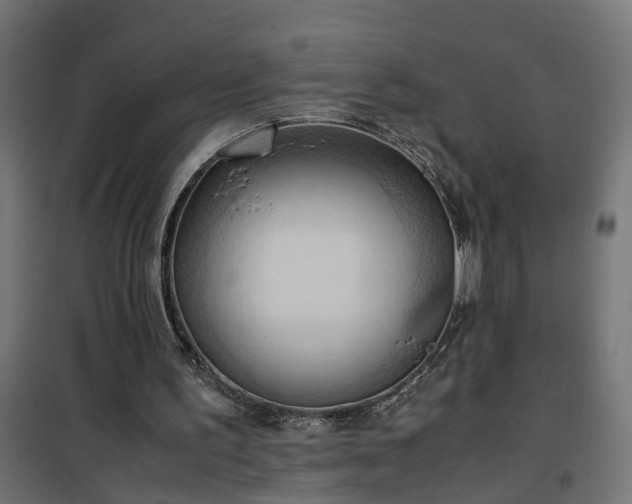 X0000100480195200806201638