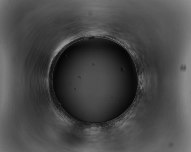 X0000100480196200806201638
