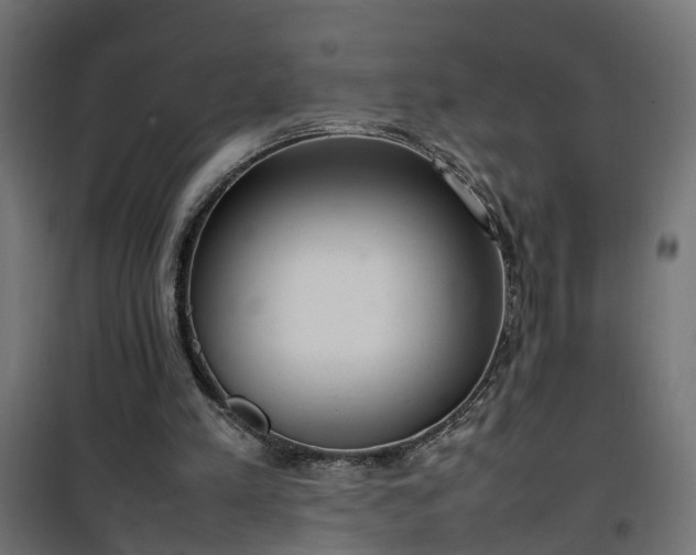 X0000100480197200806201637