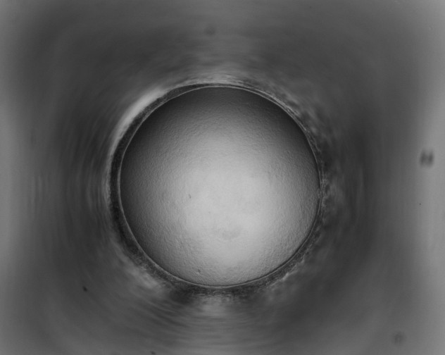 X0000100480200200806201637