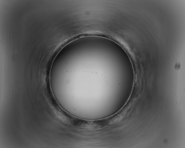 X0000100480201200806201637