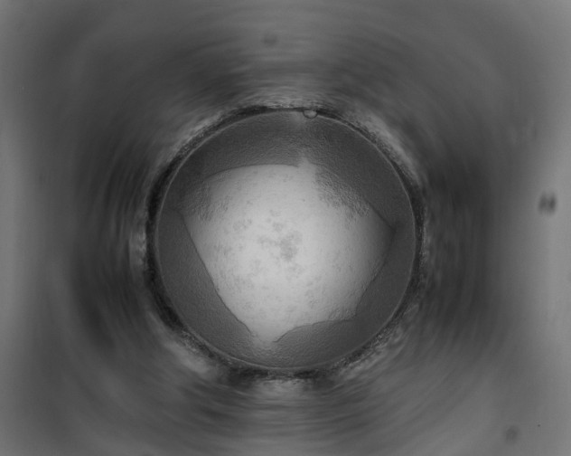 X0000100480202200806201637