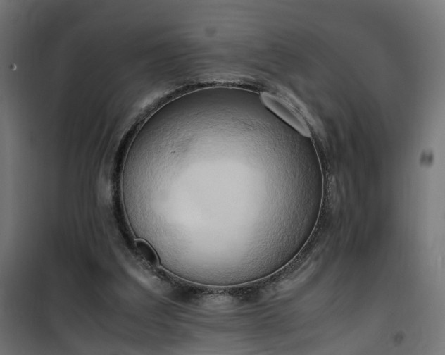 X0000100480203200806201637
