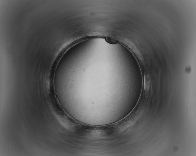 X0000100480204200806201637
