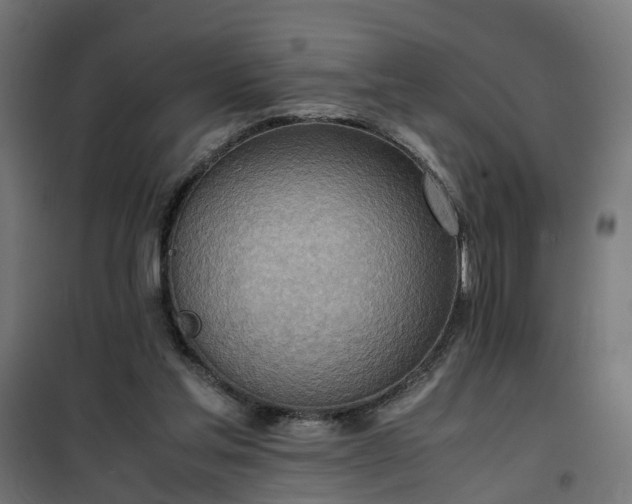 X0000100480205200806201637