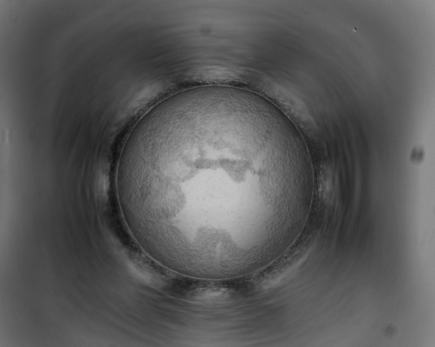 X0000100480206200806201637