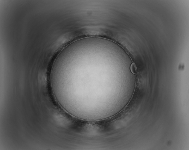 X0000100480207200806201637