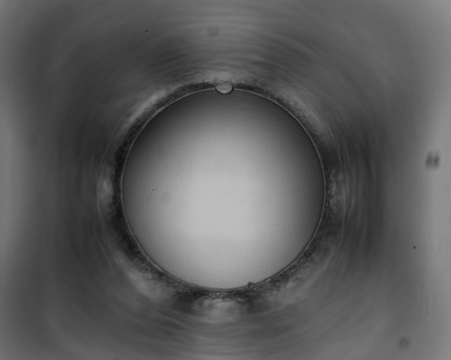 X0000100480208200806201637