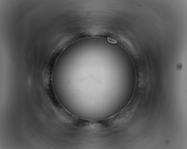 X0000100480210200806201637