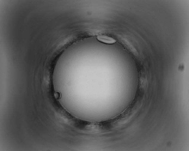 X0000100480211200806201637
