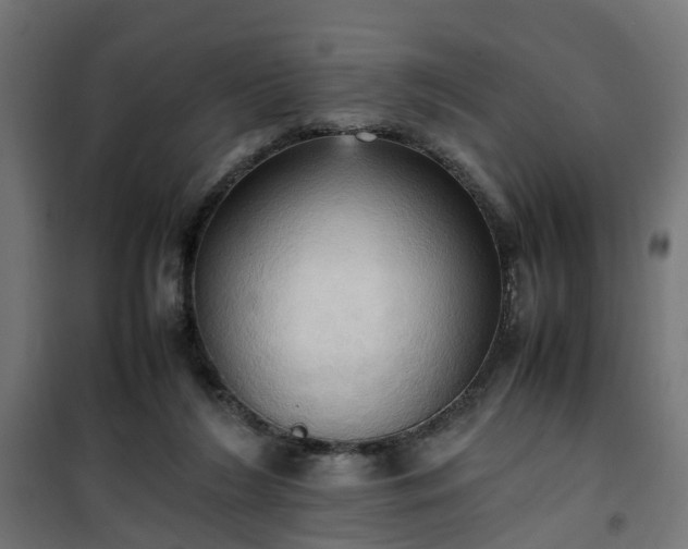 X0000100480212200806201637