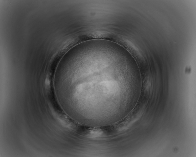 X0000100480214200806201637