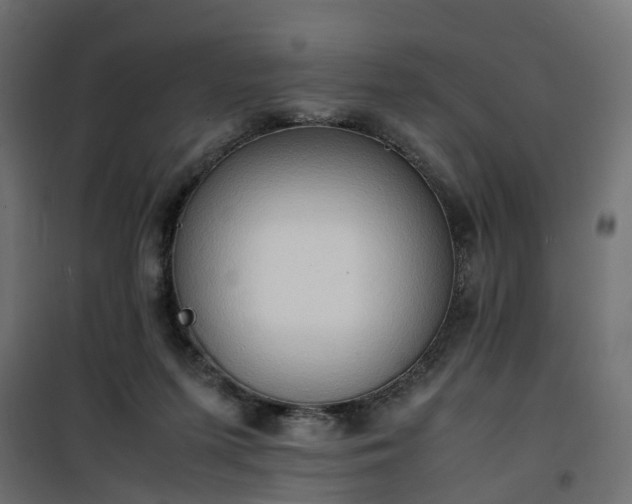 X0000100480215200806201637