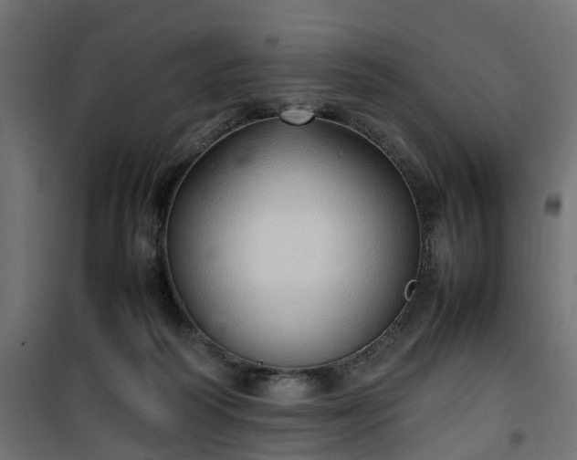 X0000100480218200806201637