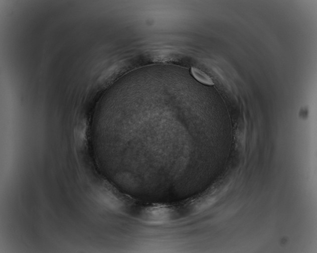 X0000100480219200806201637
