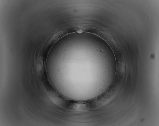X0000100480220200806201637