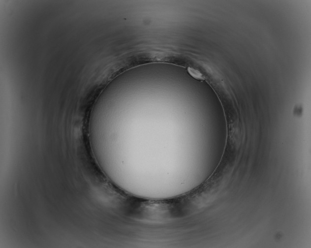 X0000100480221200806201637