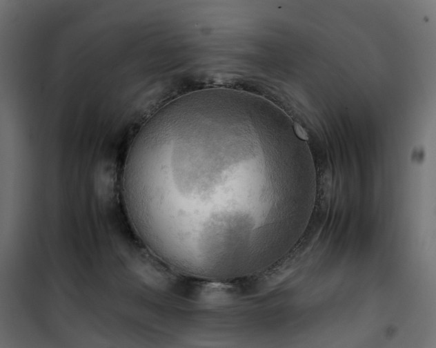 X0000100480222200806201637