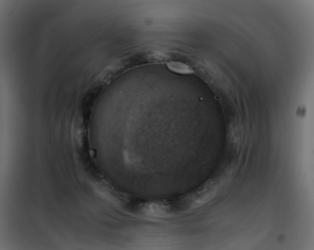 X0000100480223200806201637