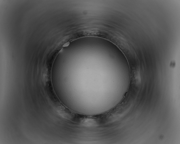 X0000100480224200806201637