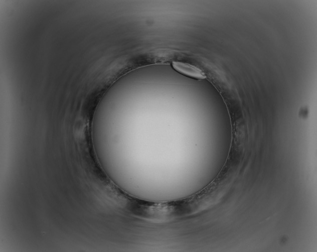 X0000100480225200806201637