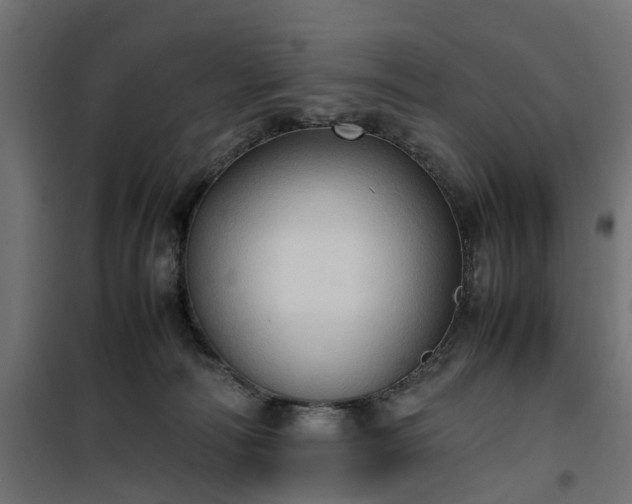 X0000100480226200806201637