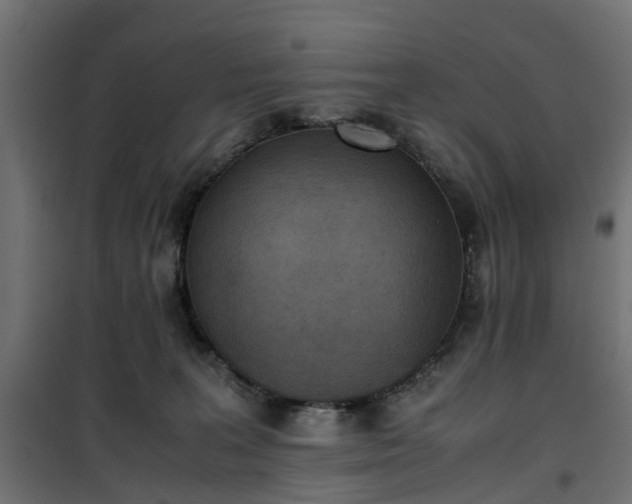 X0000100480227200806201637