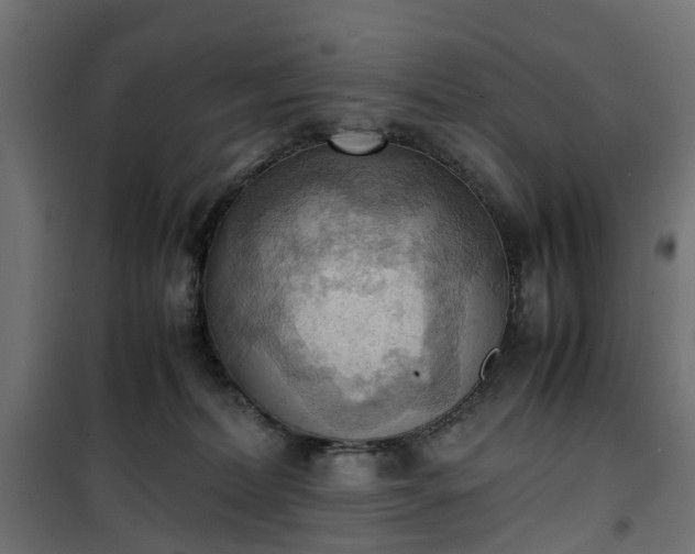 X0000100480228200806201637