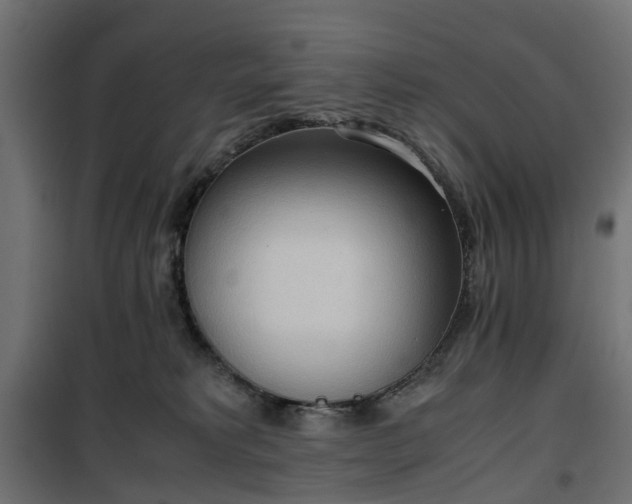 X0000100480229200806201637