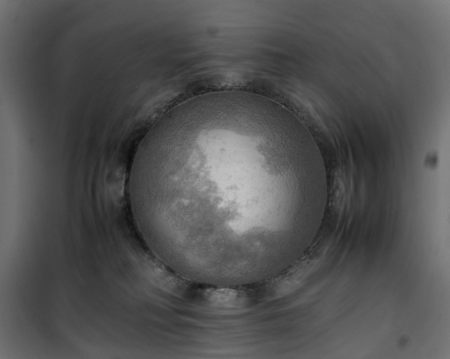X0000100480230200806201637