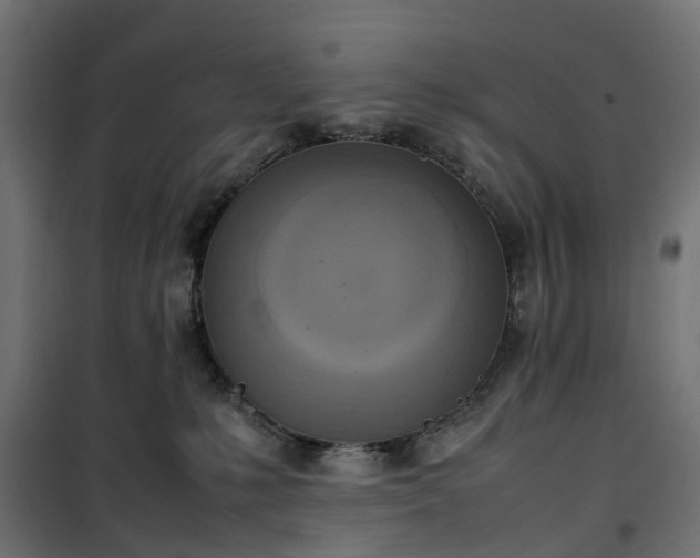 X0000100480231200806201637