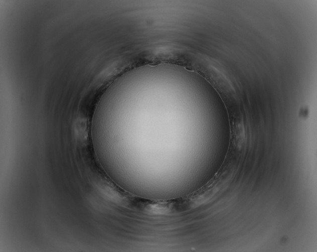 X0000100480232200806201637