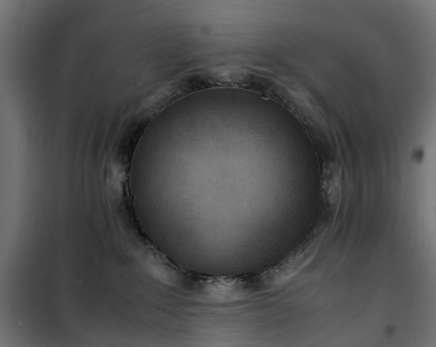 X0000100480235200806201637