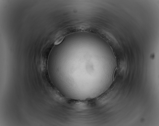 X0000100480236200806201637