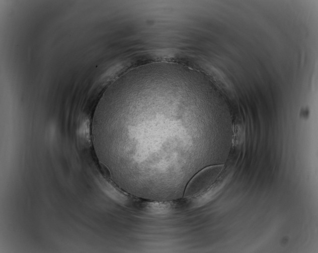 X0000100480238200806201637