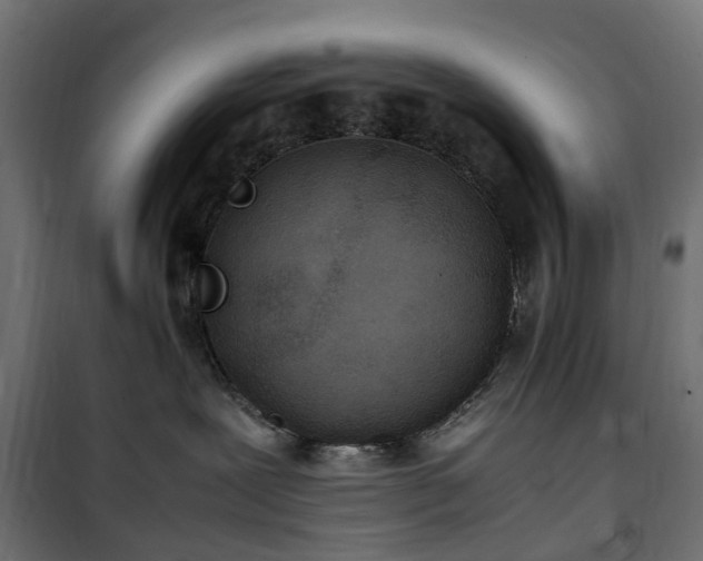 X0000100480239200806201637