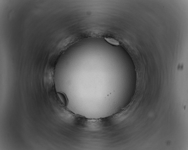 X0000100480240200806201637