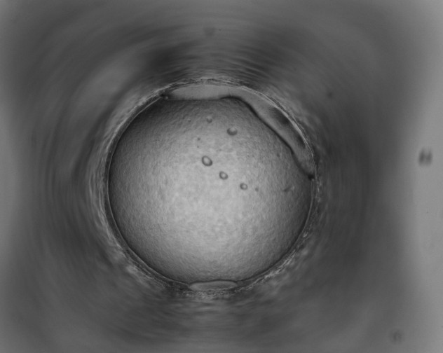 X0000100480241200806201636