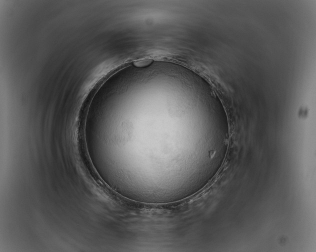 X0000100480242200806201636