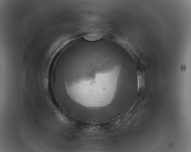 X0000100480243200806201636